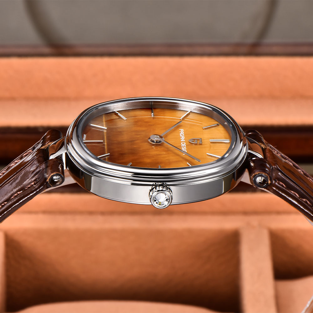 PAGANI DESIGN 2026 New Quartz  - Ladies Fashion Watch 리뷰 및 가격