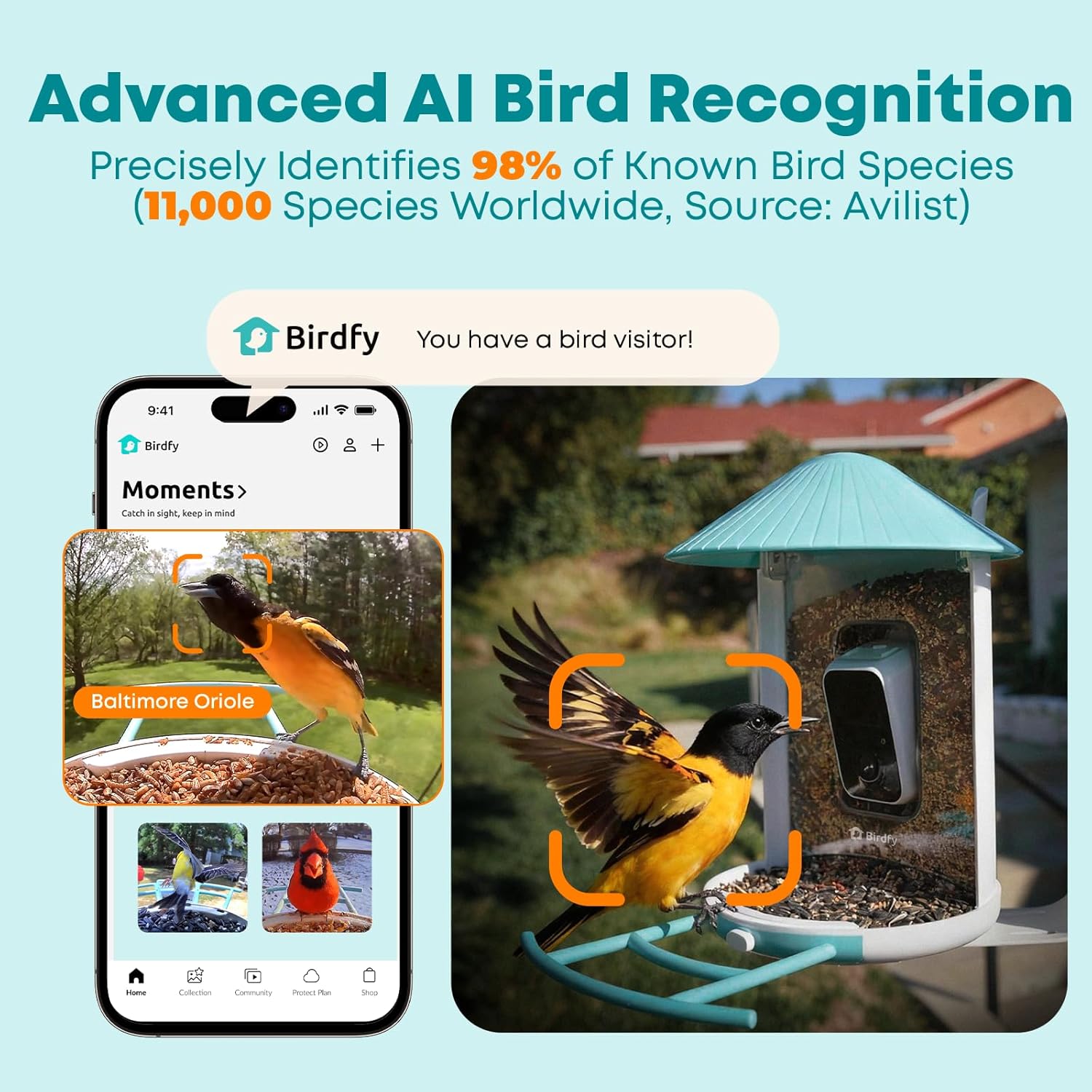Smart Bird Feeder with AI Came - Watch Smartwatch 리뷰 및 가격