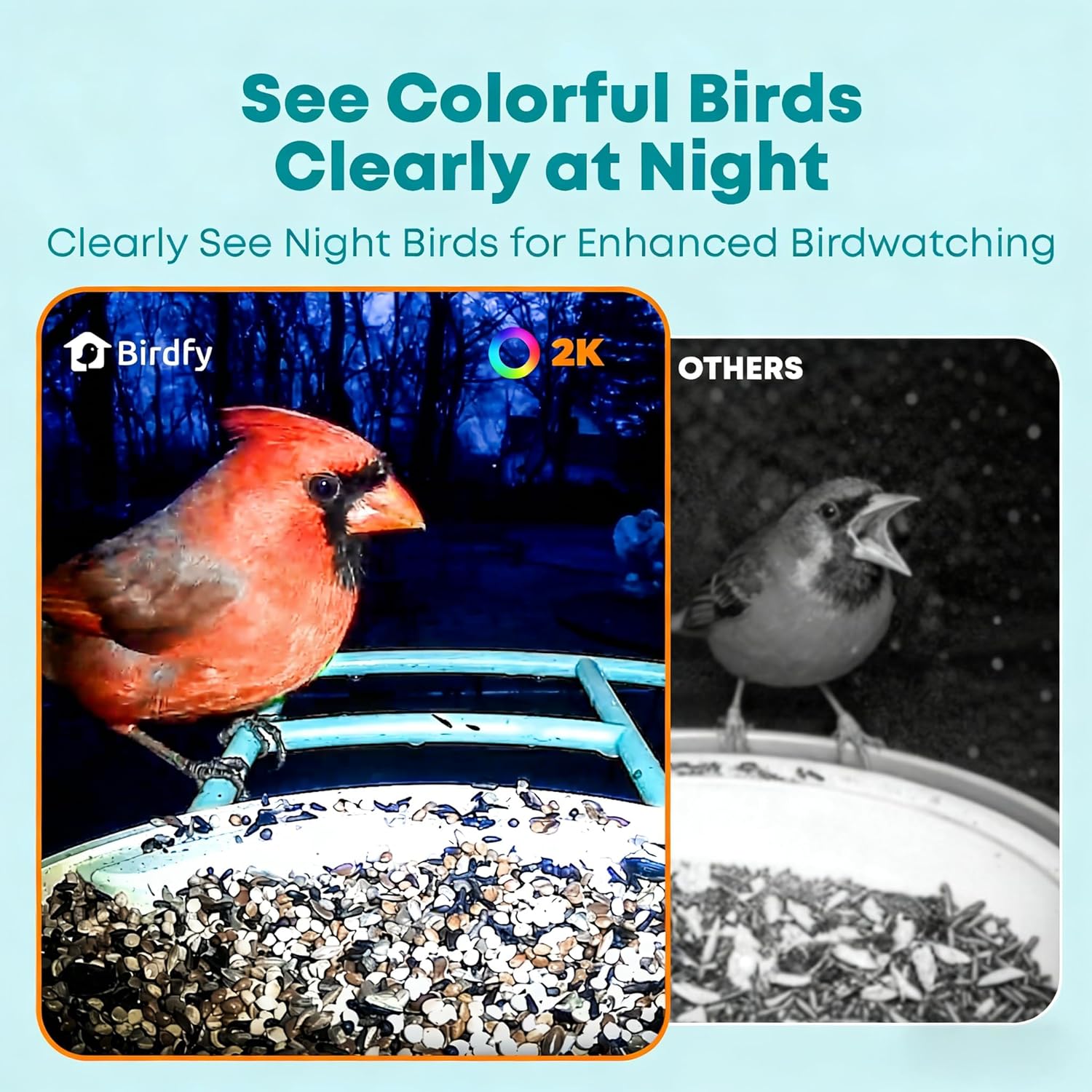 Smart Bird Feeder with AI Came - Watch Smartwatch 리뷰 및 가격