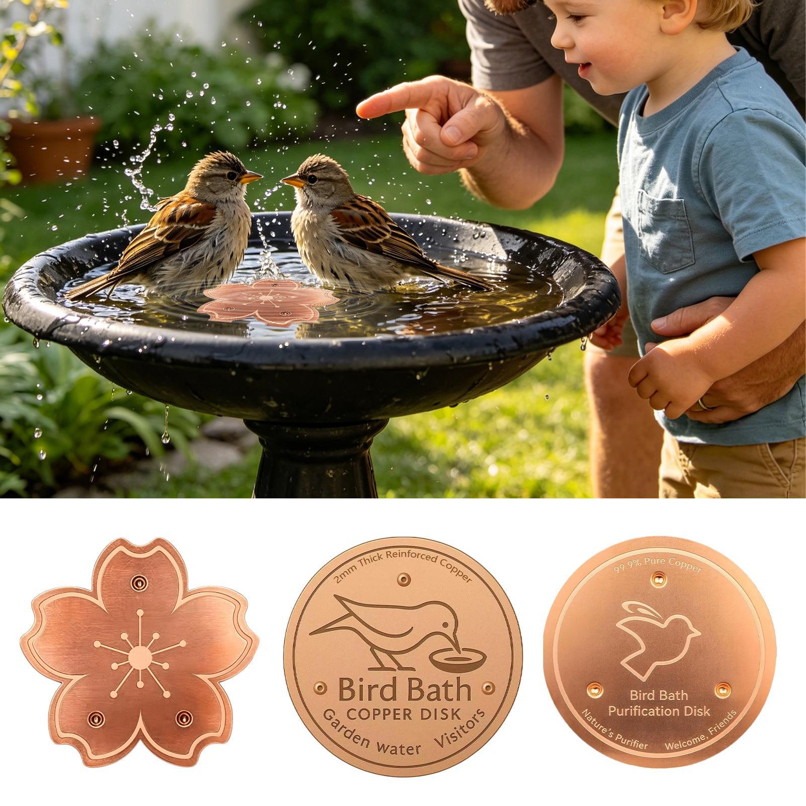 Copper For Bird Bath Safe Puri - Watch S 리뷰 및 가격