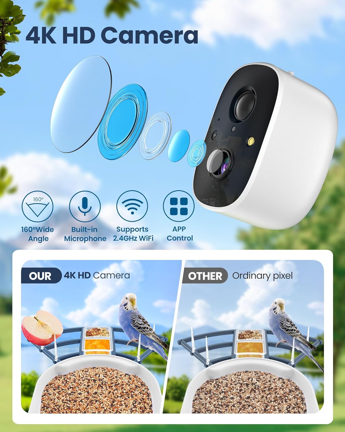 Smart Bird Feeder with Camera, - Watch S 리뷰 및 가격