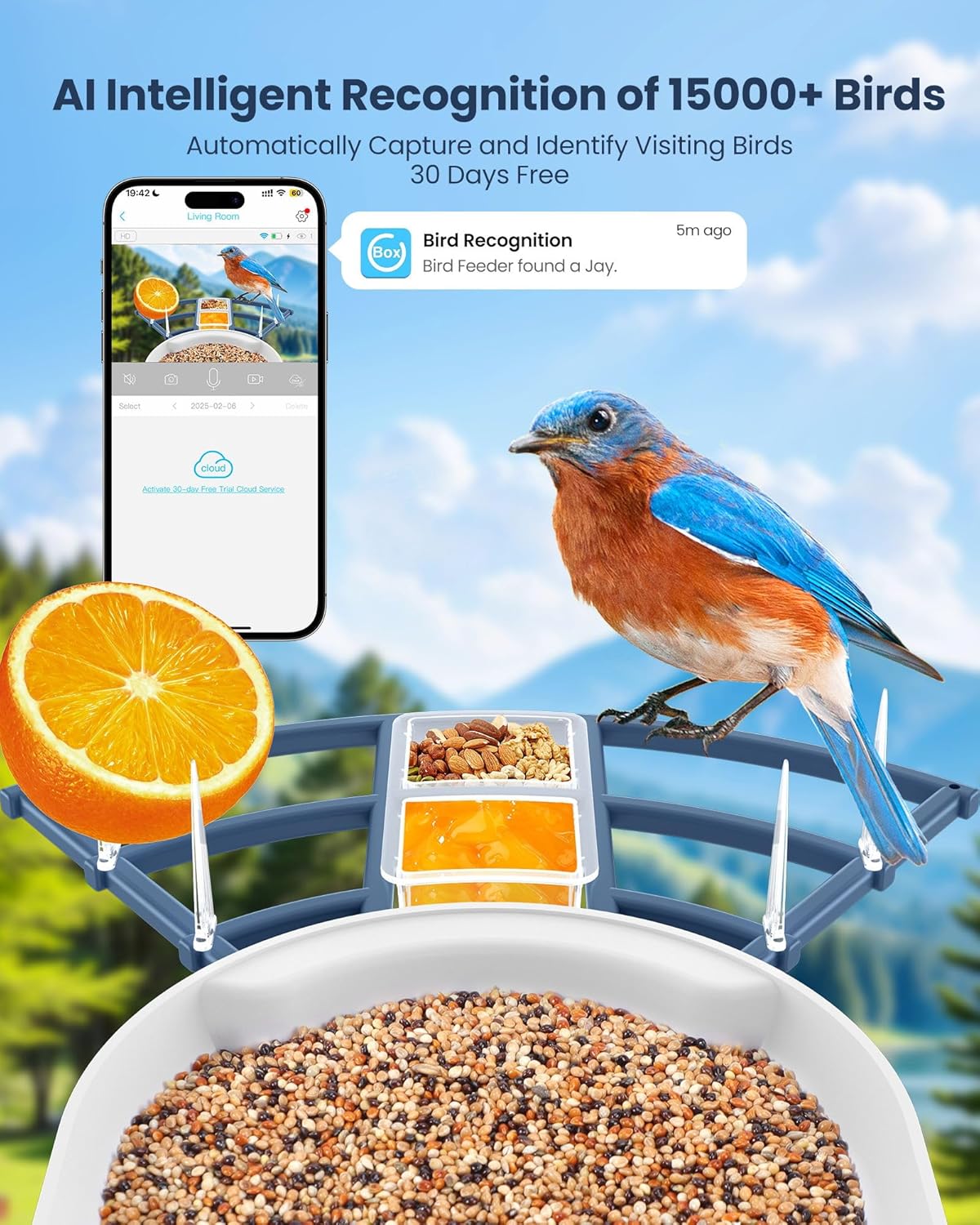 Smart Bird Feeder with Camera, - Watch S 리뷰 및 가격