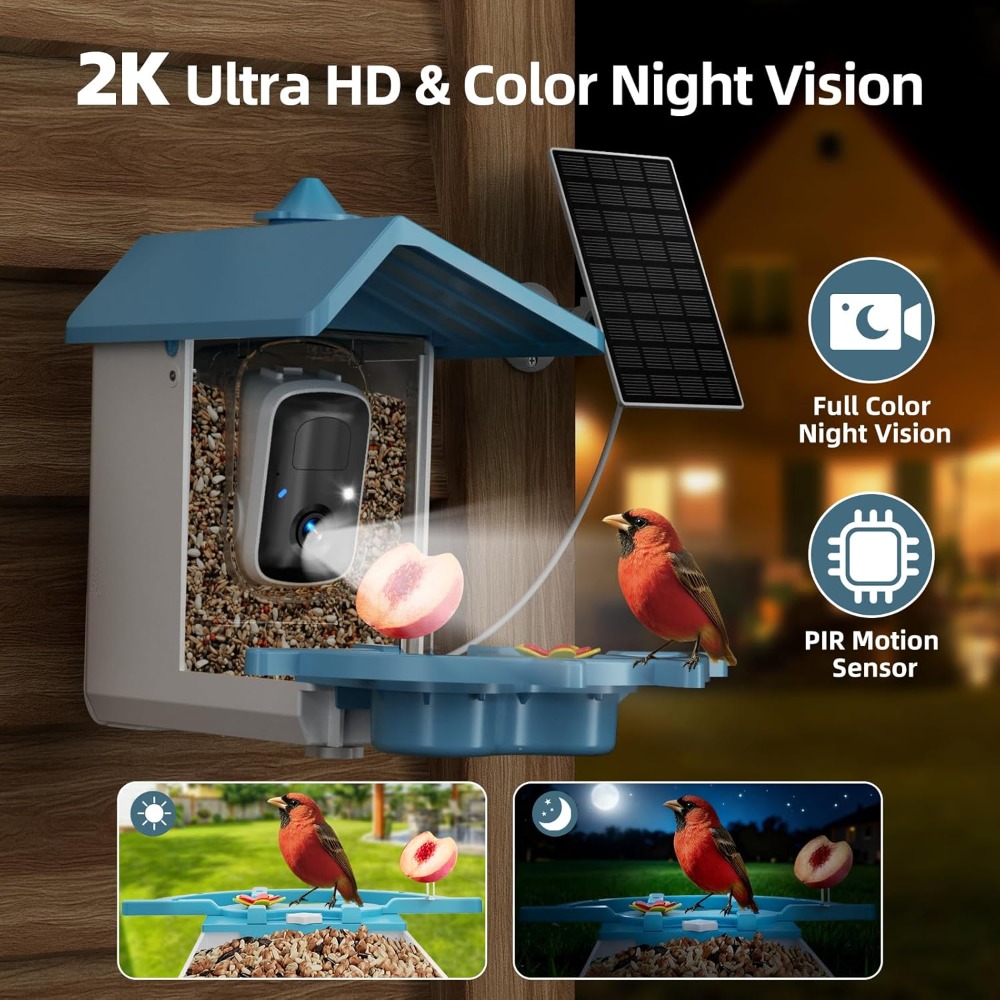 Bird Feeder with Camera for Ou - Watch S 리뷰 및 가격
