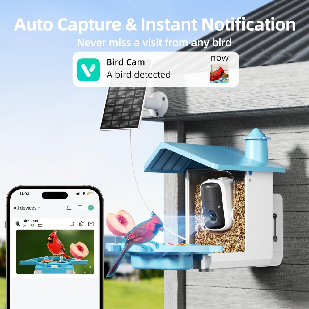 Bird Feeder with Camera for Ou - Watch S 리뷰 및 가격