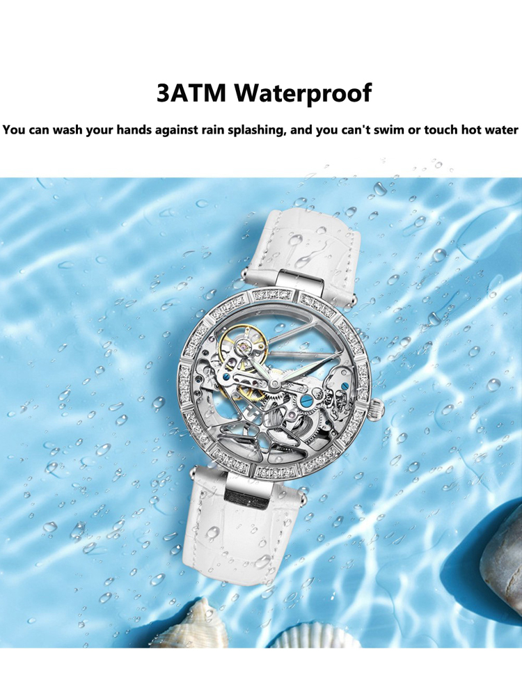 Luxury Skeleton Silver Dial Fa - Skeleton Mechanical Watch 리뷰 및 가격