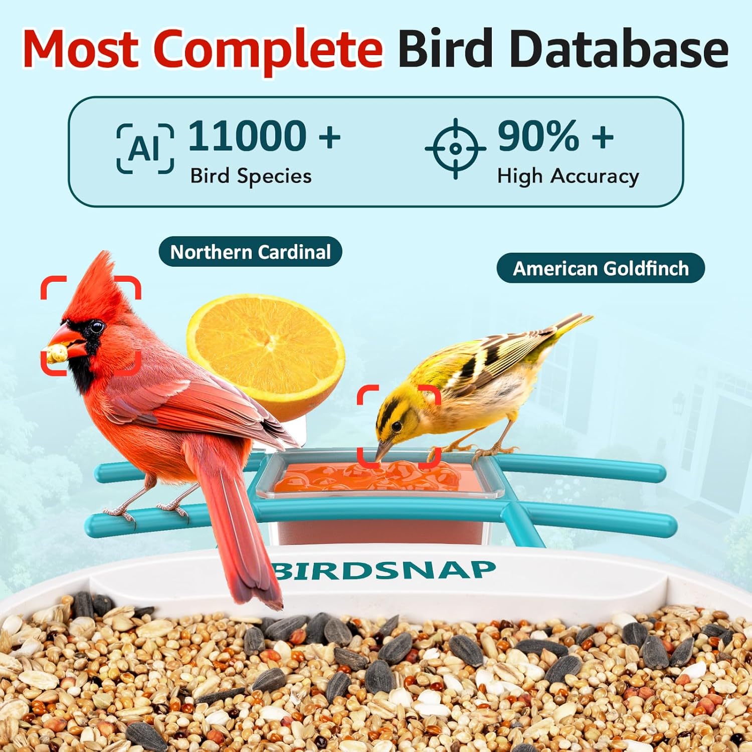 2K HD Bird Feeder Camera with  - Watch S 리뷰 및 가격
